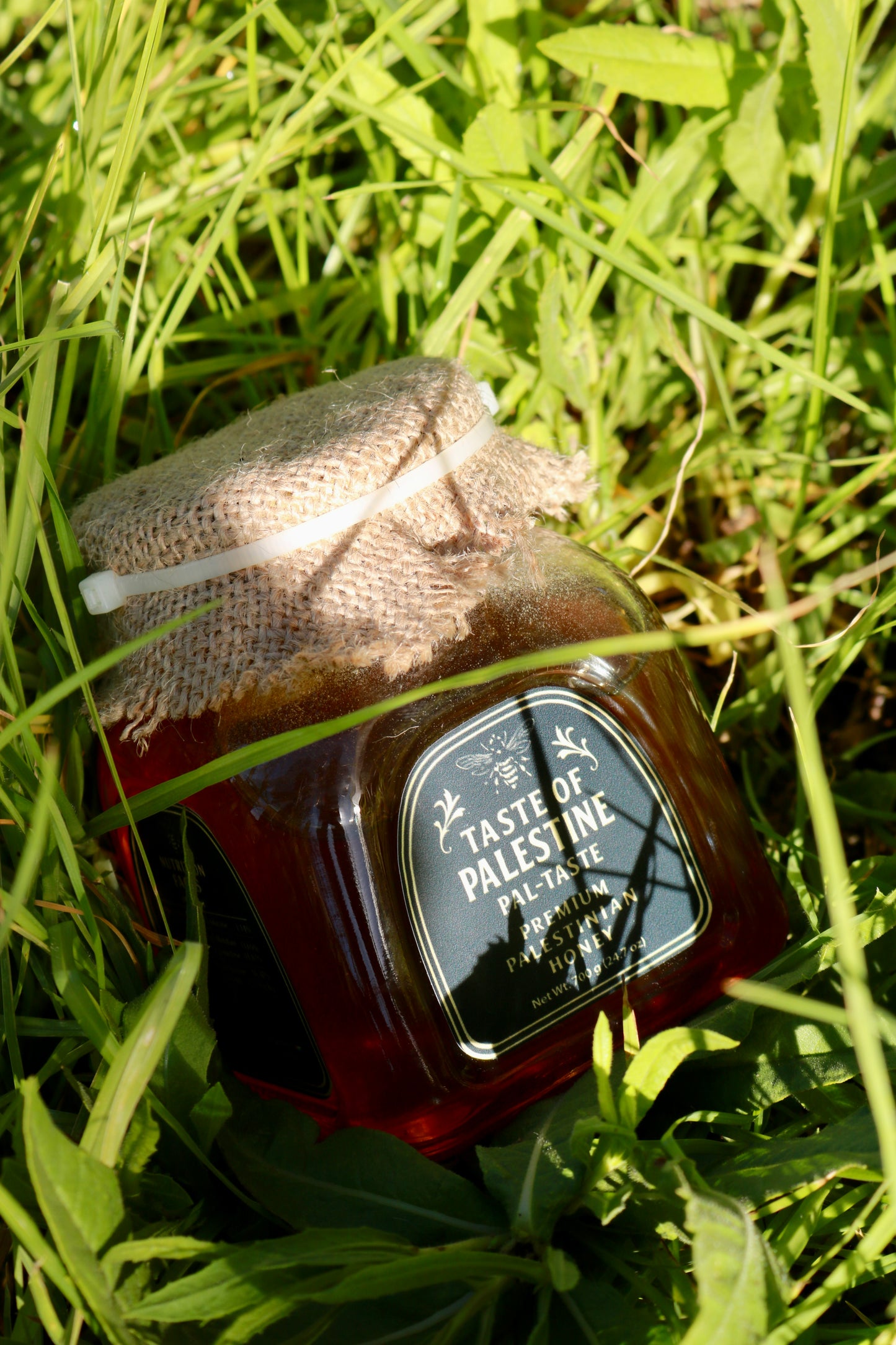 Premium Palestinian Mountain Honey