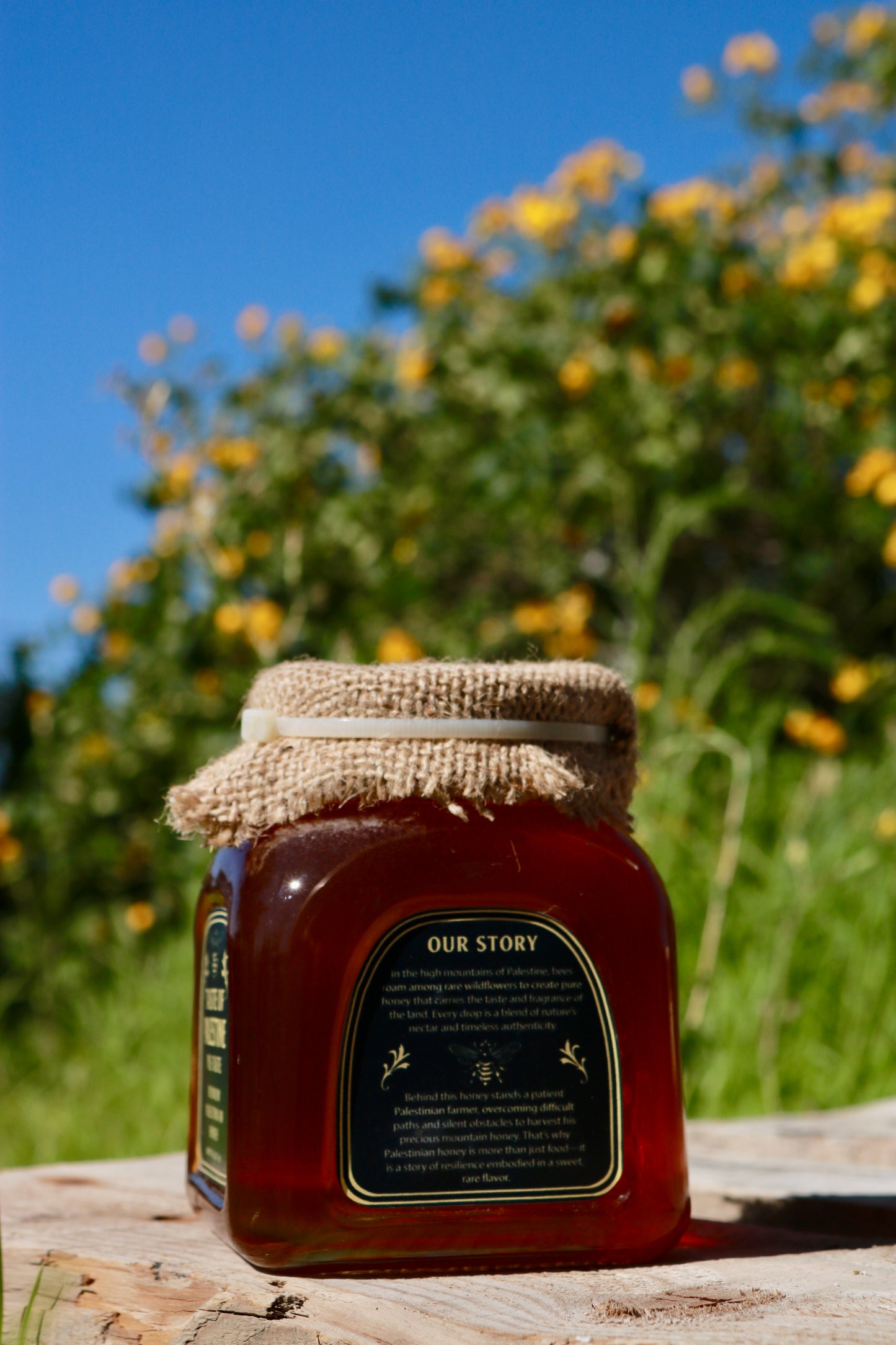 Premium Palestinian Mountain Honey